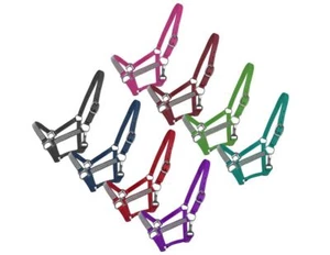 2-lagiges mittelgroßes/großes Pony Nylon Halfter mit Kristallen - Bild 1 von 10