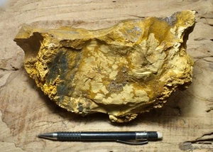 Limonit - großes Schaupräparat Limonit - Eisenoxide hydratisiert - Bild 1 von 4