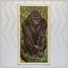 Brooke Bond African Wild Life #1 Gorilla Tea Card (B) (CC118)