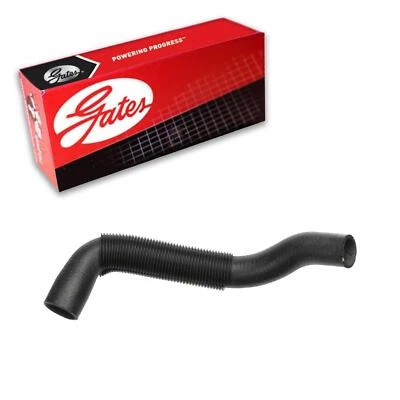 Нижний шланг радиатора охлаждения ворот для 1984-1988 Chevrolet Corvette 5,7 л V8 GAS - Изображение 1 из 3