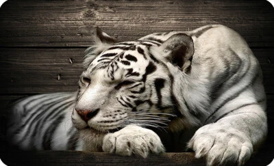 Mauspad 24 x 20 cm Mousepad Gaming / Office Silent Monsters Tiger Raubtier weiß