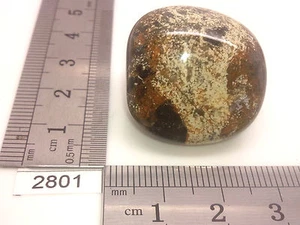 Jaspe feuille d'argent pierre roulee mineraux lithotherapie reiki collection - Picture 1 of 3