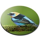 Round Mouse Mat  - Exotic Tropical Bird Golden-Hooded Tanager  #44987