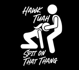 HAWK TUAH Spit On That THANG Vinyl Sticker Window Decal Car Truck SUV - Picture 1 of 5