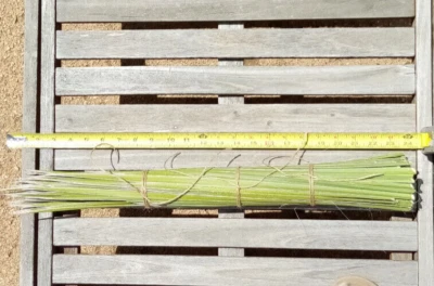 Narrow Leaf Yucca Leaves,for Basketry,Cordage etc. Approx. 90 Leaves StrongFiber - Image 1 of 4