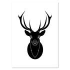 'Black Stag Head' Wall Posters / Prints (Pp004735)