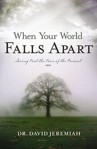 When Your World Falls Apart: See Past the Pain of the Present- David Jeremiah - Picture 1 of 1