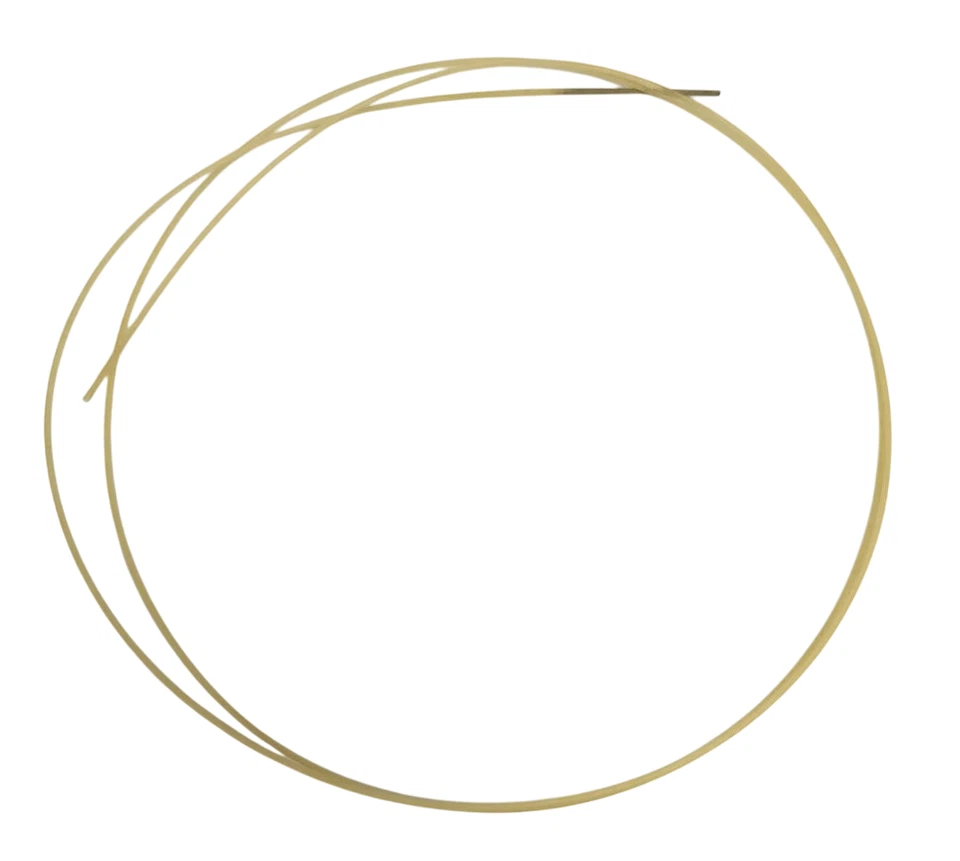 Pirastro Corda Singola Viola D Re Seconda Budello Gut 19 Pm Barocco Medioevo - Imagen 1 de 4