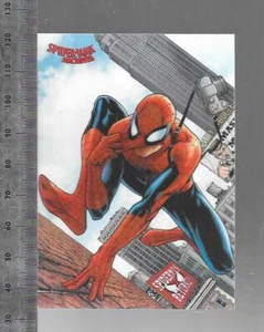 Spider-Man Archives Rittenhouse 2009 Base Card 15 Photographer Steve McNiven - Bild 1 von 2