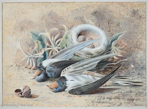 Feines antikes englisches Gemälde von Vögeln, Nest mit Eiern und Flora, super Detail! - Bild 1 von 9