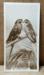 De Reszke Cigarettes Real Photographs 6th Series #9 (2 of 2) - Picture 1 of 4