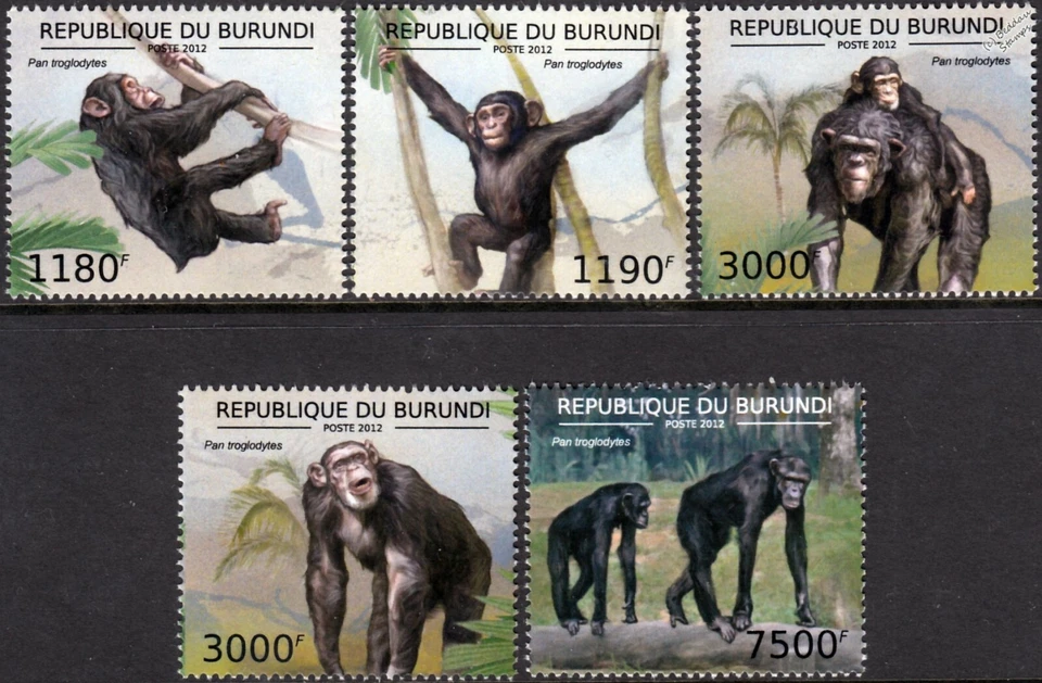 Juego de estampillas comunes de chimpancé / mono africano / primate (2012 Burundi) Foto 1 de 1