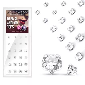 24 Stck. Klar CZ Zinken Set Chirurgenstahl Mikro Dermaler Anker Top 14g 3 mm 4 mm 5 mm - Bild 1 von 2