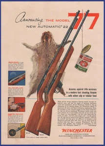 Vintage 1955 WINCHESTER Modello 77.22 Armi da Fuoco Automatiche Fucile Stampa Effimera Annuncio - Foto 1 di 1