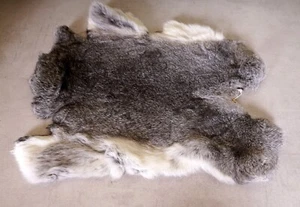 Schönes graues Hasenfell Länge: 49cm Rabbit Fur - Bild 1 von 2