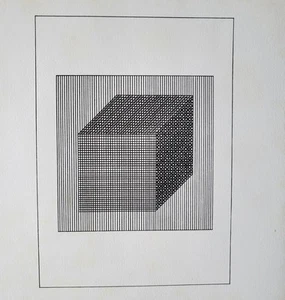 Serigrafía Original Sol LeWitt / Serigrafía Placa III de "Ficciones" 1984 con doc - Imagen 1 de 5