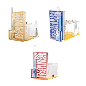 Nistkasten, Lebensraum für wissenschaftliche Beobachtung, Kinder&#39;s Tag Geschenk - Bild 1 von 22