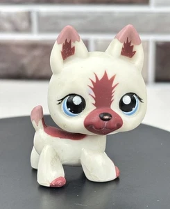 Juguete auténtico Hasbro #1421 pastor alemán Littlest Pet Shop perro blanco y marrón - Imagen 1 de 6