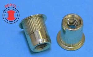 TSBS610, LFK Acero Zinc Remache Tuerca Inserto de Remache Tuerca - M6X1.0 - 25 piezas - Imagen 1 de 1