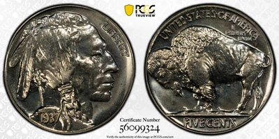1937 PCGS PR66+ Buffalo Nickel - Image 1 of 4