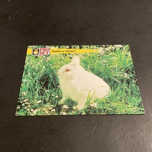 1992 Pro Set Guinness Book Of Records # 73 Rabbit or Rabette? - Picture 1 of 2