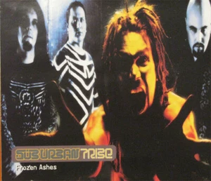 Suburban Tribe - Frozen ashes - MCD Maxi CD (inkl. Video) - Sehr Guter Zustand  - Bild 1 von 1
