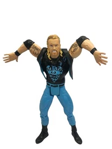 Figura de acción Toy Biz 1999 WWC/NWO Wolfpac "Diamond Dallas Page" 6,75". - Imagen 1 de 4