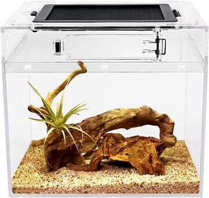 Mini Reptile Terrarium,8" X 8"X 8" Reptile Tank with Full View Visually Appealin - Picture 1 of 12