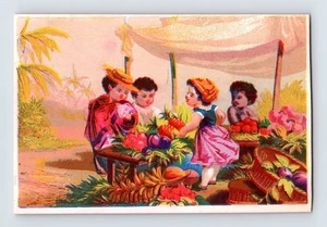 Children Tropical Fruit Market Trade Card 1890s Victorian Blank Back 3" x 4.25" - Picture 1 of 2