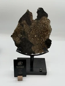 NWA 17273 - L5 Schmelzbrekzie - "Millenium Falke" - 351g - RIESIGE Meteoritenscheibe - Bild 1 von 16