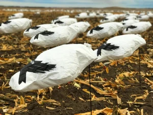 1 Dozen New Snow Goose Windsock Decoys - Picture 1 of 6