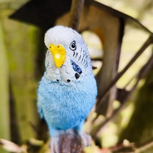 Vivid Arts - Budgerigar Bright Blue - Indoor & outdoor - Garden Ornament - Picture 1 of 7