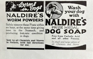 1930 Naldires Dog Worm Powders Soap Prize Medal Wash Rare Vintage Print Ad - Picture 1 of 1