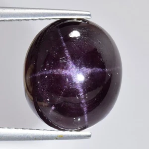 12.28ct 100% Natural Beautiful Garnet Star Earth Mined Loose Gemstone - Picture 1 of 4