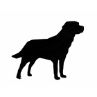 Labrador Dog Smooth Coat Brooch Badge Pin Scarf Fastener In Black With Gift Bag