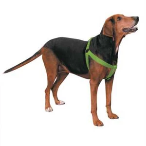 Casual Canine Two-Step Harness - Picture 1 of 1