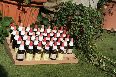 Bachblüten Bach-Blüten "Rescue" 20 ml Notfall-Mischung v.Fachfrau Mensch u. Tier - Bild 1 von 4