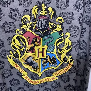 The Wizarding World of Harry Potter Exclusive Universal Studios Oversized Tee L - Bild 1 von 7