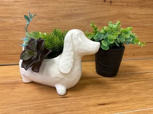 Fioriera decorativa per cani in ceramica bianca country con graffi e ammaccature lunga 9,5 pollici - Foto 1 di 3