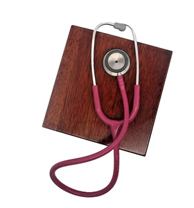 3M Littmann Classic II S.E. Stethoscope - Raspberry Tube - Picture 1 of 7
