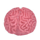 Novelty Squishy Brain Toy  Squeezable Fun Toys Relieve Stress Ball Cure Toy