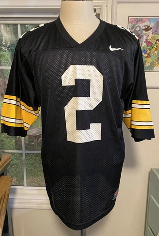 Vintage Nike Team Michael Vick Pittsburgh Steelers Mesh Football Jersey #2 LARGE Cover