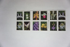 USA Blumen - Bogen mit 20 Marken für immer - Bild 1 von 1