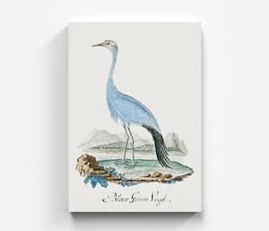 Lindo animal lienzo pájaro arte murales colorido lienzo arte imagen - Imagen 1 de 7