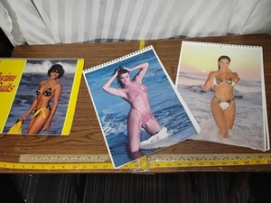 BIKINI GIRLS 1992 Calendar - Venus Swimwear Fashion Cleo Pin Up Garage Girls - Foto 1 di 6