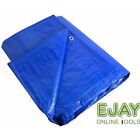 Tarpaulin Sheets : Sizes 2m x 3m upto 8m x 10m in Blue or Green (see listing)