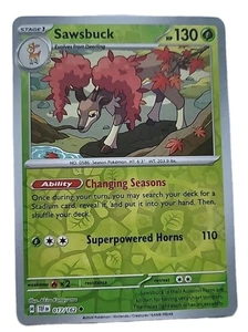 Sawsbuck HP130 2024 Reverse Holo Pokémon 017/162  - Picture 1 of 1