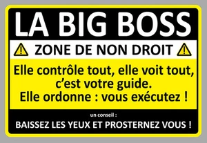 ACHTUNG BIG BOSS HUMOR LUSTIG GAG GEBURTSTAG 15cm AUFKLEBER STICKER AA208 - Bild 1 von 1