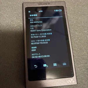 Walkman Sony NW-A45 16 GB Bluetooth Gris Negro - Imagen 1 de 7