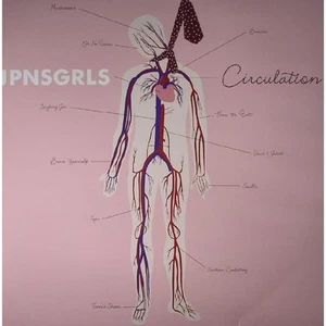 JPNSGRLS Circulation (Vinyl) - Picture 1 of 1